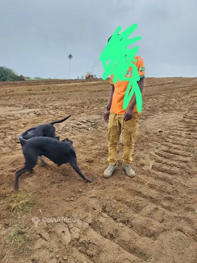 terrain Flash Ebimpé · Yopougon