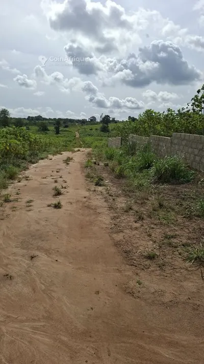 Terrain 600 m² — Songon Agbant