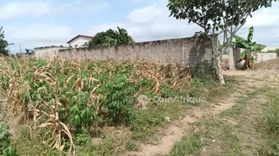 Terrain 1200 m² — Cocody Riviera Abatta