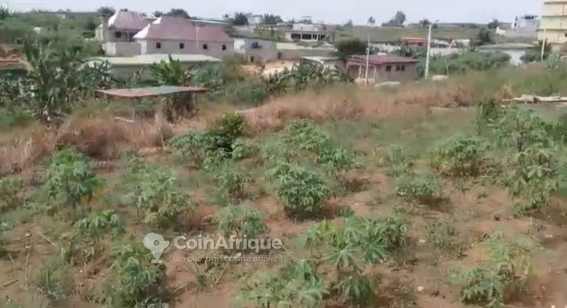Terrain 500 m² — Songon Ayéwahi