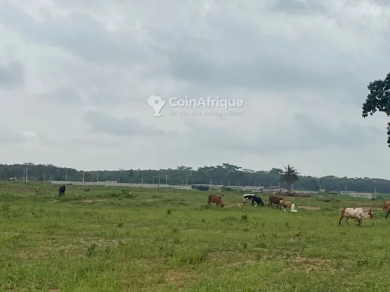Terrain 300m² avec ACD individuel — Songon Cassamblé
