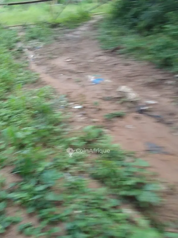Terrain 2 lots 1200 m² — Lolobo Menou Plateau