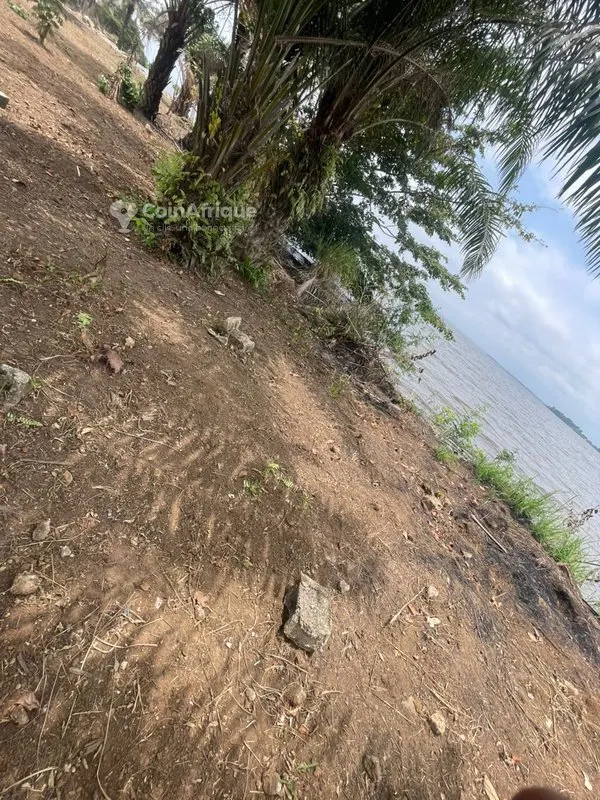 Terrain 3300 m² en bordure d'eau — Songon