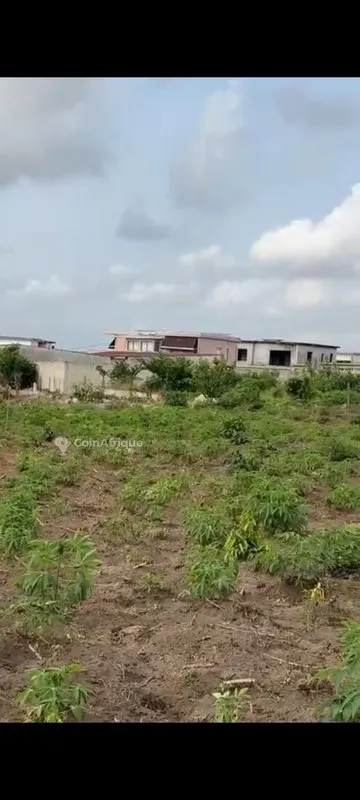terrain Bingerville-Anan Gbontchui · Bingerville